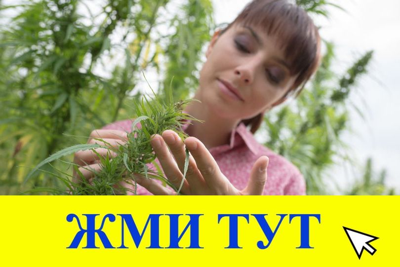 Купить наркотики в Тайге